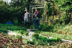 people working in a farm