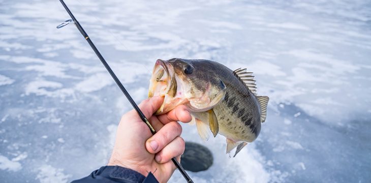 fishing